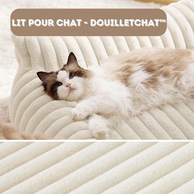 Lit-pour-chat-DouilletChat-Douceur