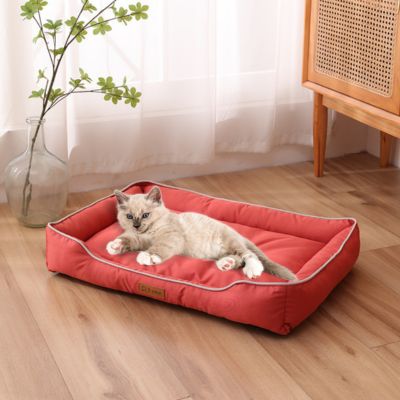 Coussin-de-fenêtre-pour-chat-FenêtreFéline-Agréable