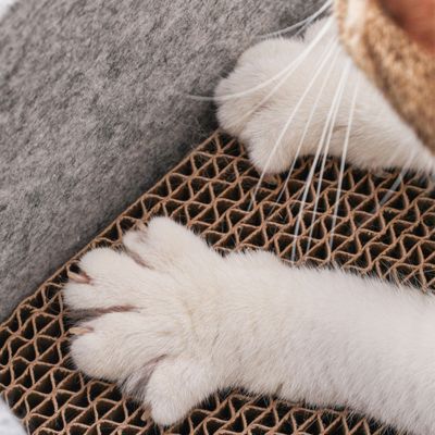 Griffoir-pour-chat-PaperPaw-Griffe