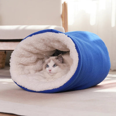 Chat-panier-DouilletDôme-Observer