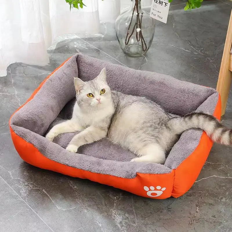 Cousin à chat | CotonDoux™