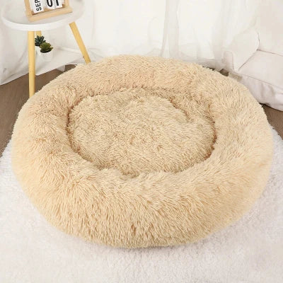 53742003159366|53742003192134|53742003224902-Coussin Chat | DonutDoux™- BEIGE