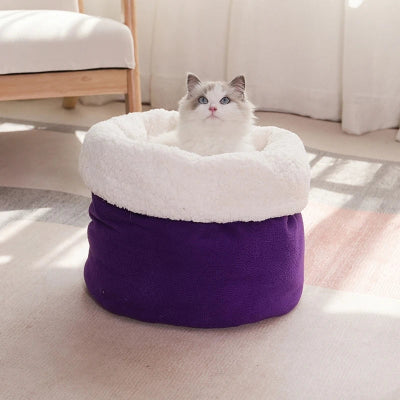 Chat-panier-DouilletDôme-Sécurité