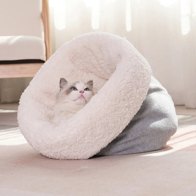 Chat-panier-DouilletDôme-Tranquille