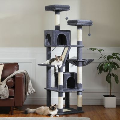arbre a chat gratteciel gris