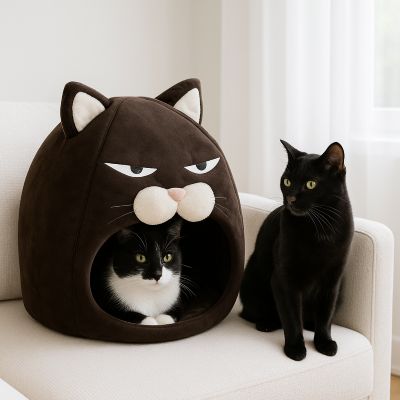 chat niche mysticmiaou avec deux chats noirs et blancs