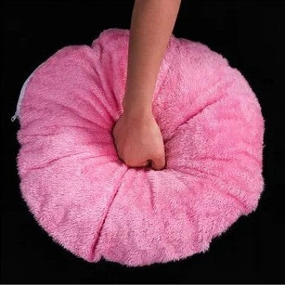 chat panier mistigri et son coussin amovible