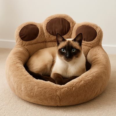 chat panier papatte marron