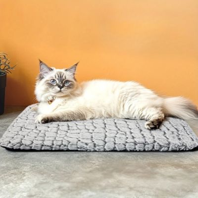 coussin chat sherpa avec chat de birmanie