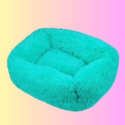 coussin chat zone confort couleur vert tiffany