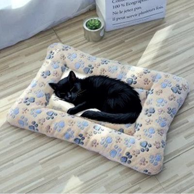 coussin pour chat duvetdoux pattes de chat creme