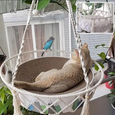 hamac chat macramiaou en exterieur