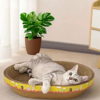 lit chat gratouille jaune avec un chat gris