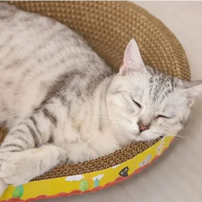 lit chat gratouille avantage