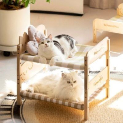 lit pour chat miaoufun format lits empilables