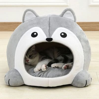 maison chat gribouille avec chat au fond
