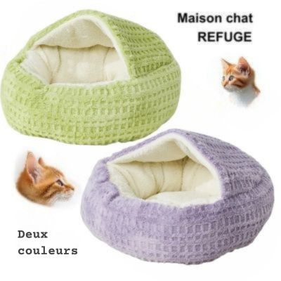 maison chat refuge les deux couleurs