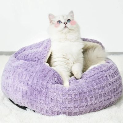 maison chat refuge violet avec chat seul