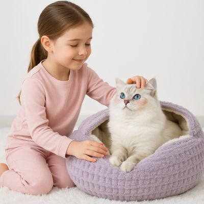 maison chat refuge violet avec fillette