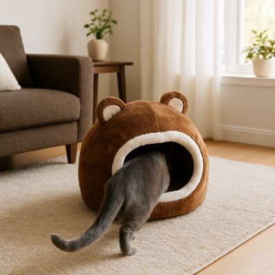 maison pour chat ourson avec chat entrant