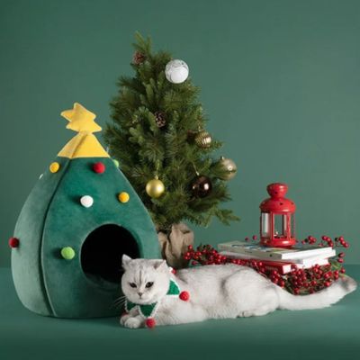 maison pour chat sapindecor avec chat devant