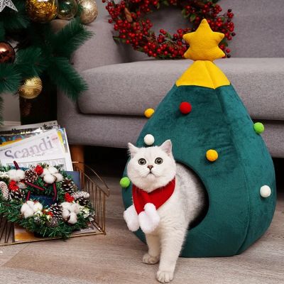 maison pour chat sapindecor avec chat sortant