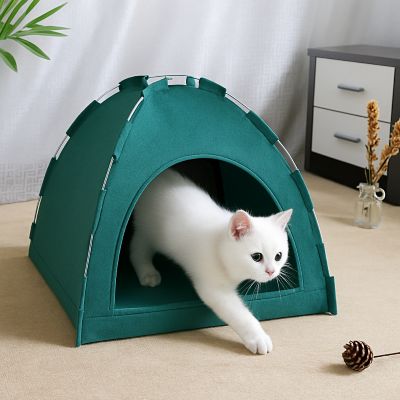 niche pour chat couleur verte