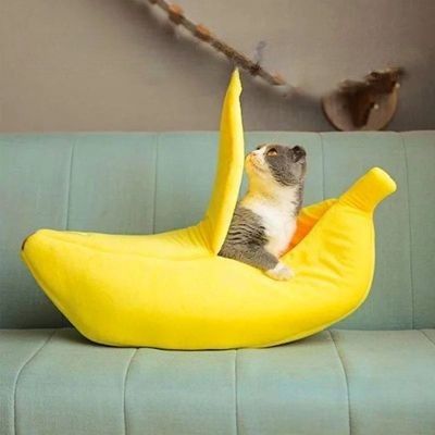 niche pour chaton bananas avec dessus vertical