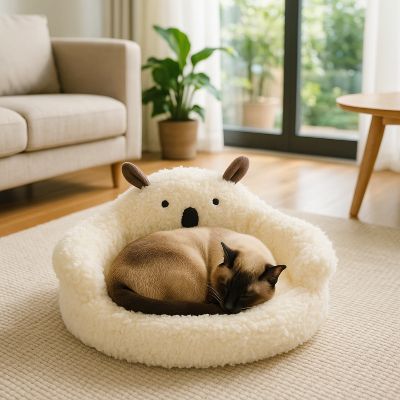 panier chat koala avec dossier