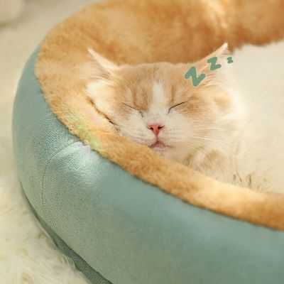 panier chat ovale rebord sureleve