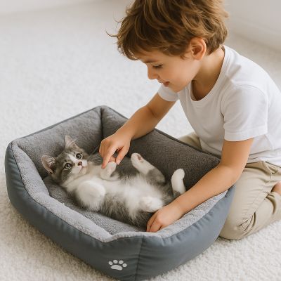 panier chat pattounet gris