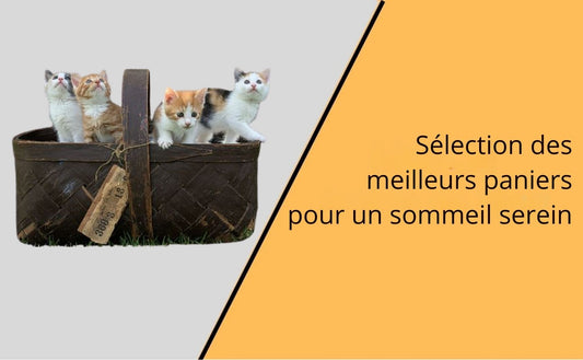 blog selection meilleurs paniers