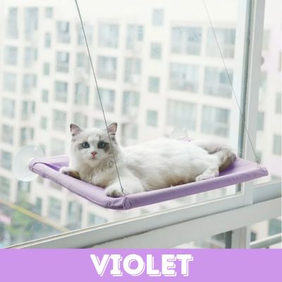 Hamac pour Chat | HamacFélin™-VIOLET