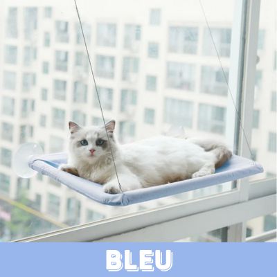 Hamac pour Chat | HamacFélin™-BLEU