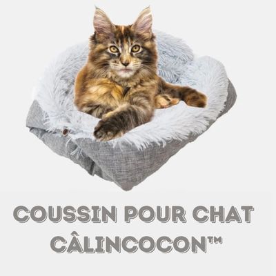 Coussin-pour-chat-CâlinCocon-Doux