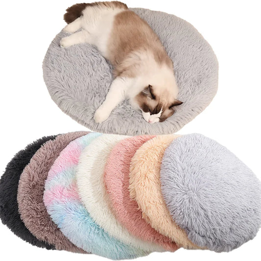 Coussin chat | RondMoelleux™