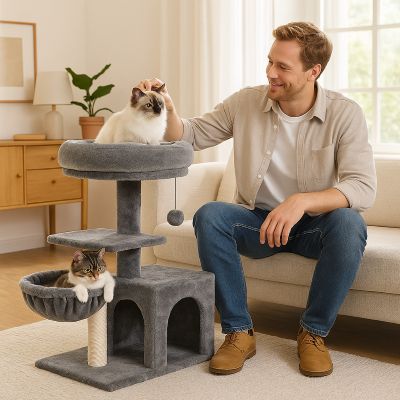 arbre a chat classique gris avec homme