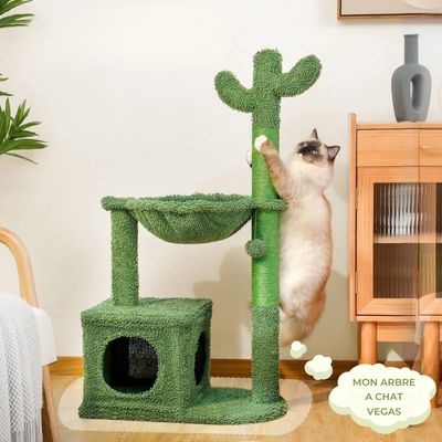 arbre a chat vegas chat birman