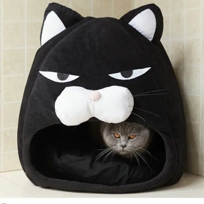 chat niche mysticmiaou avec un chat gris