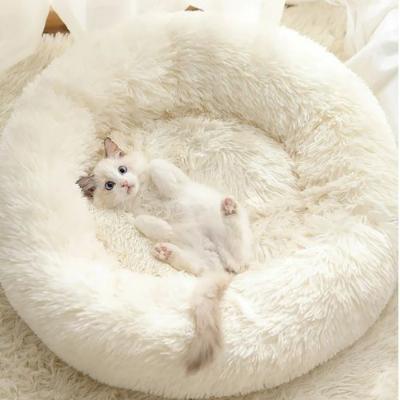 coussin-chat-prestige-blanc-