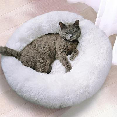 Coussin Chat - Prestige™