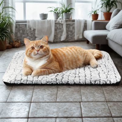 coussin chat sherpa avec chat roux