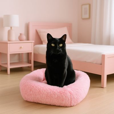 coussin chat zone confort rose