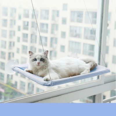 hamac chat fenetre solarium en bleu