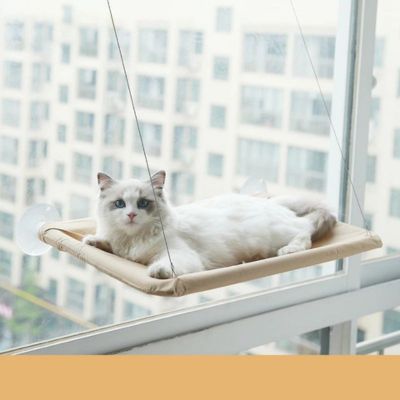 hamac chat fenetre solarium en kaki