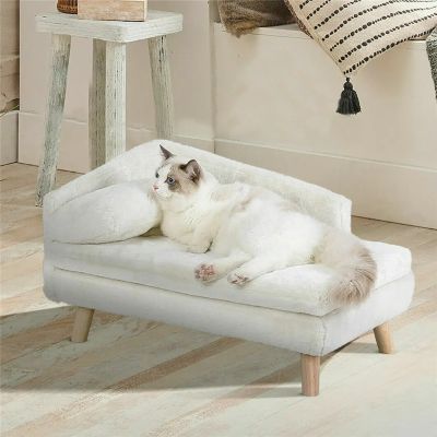 lit pour chat elegance avec chat birman