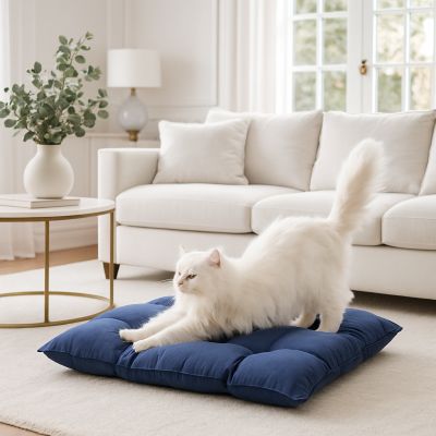 lit pour chat matelastar bleu