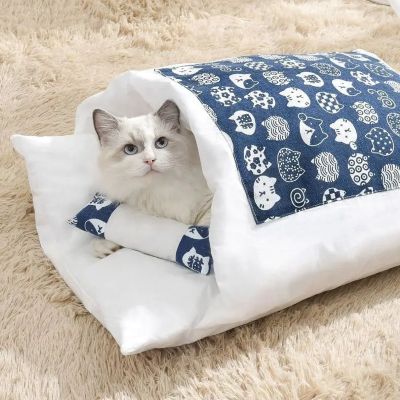 maison chat dodocat couleur bleu