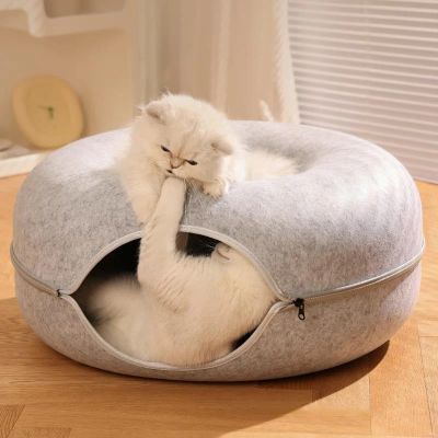 maison chat ecrin gris avec chats blancs
