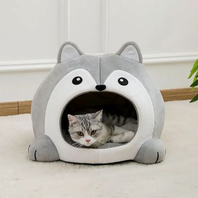 maison chat gribouille avec chat devant